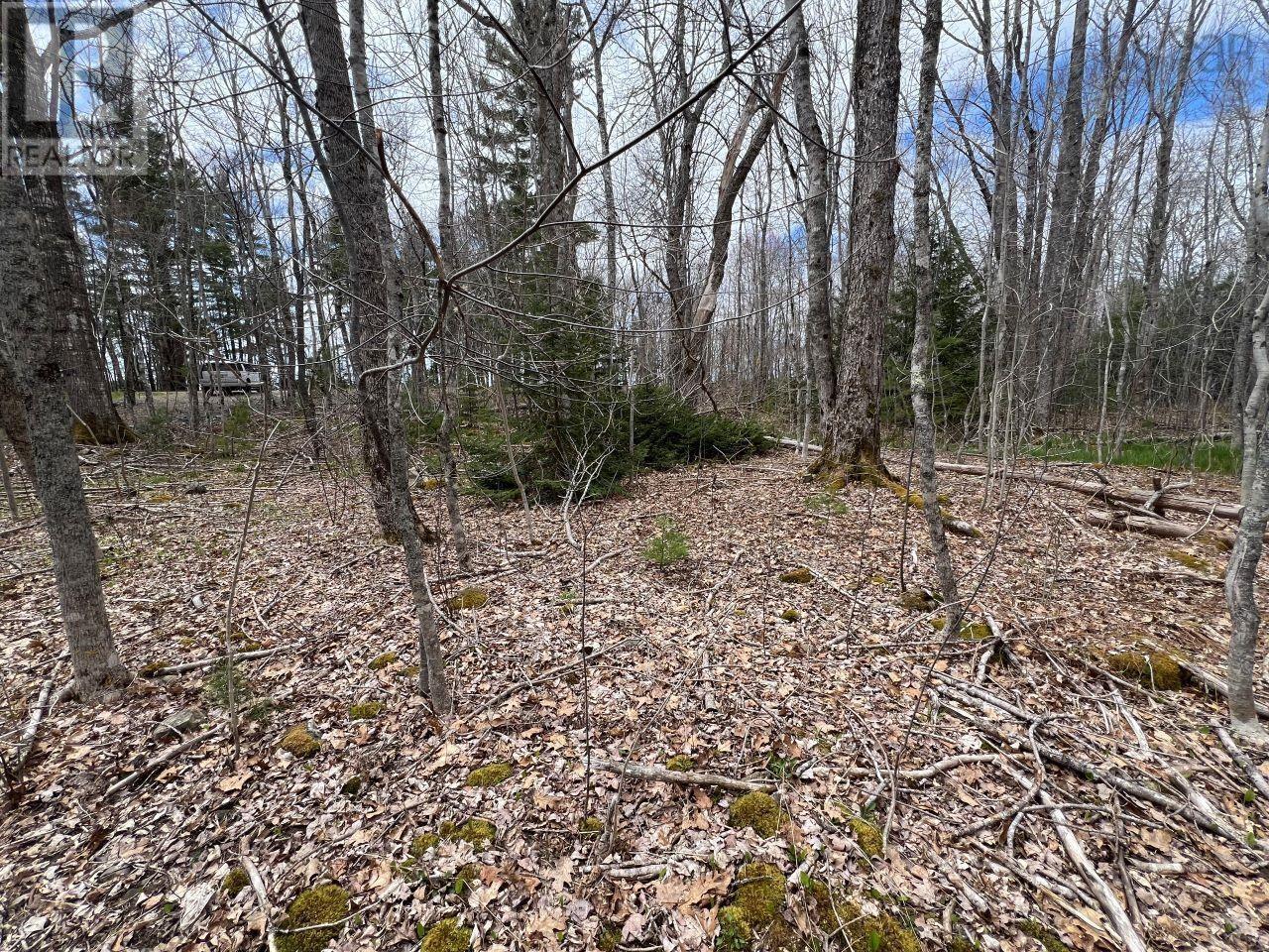 Hibernia Road, Hibernia, Nova Scotia  B0T 1B0 - Photo 7 - 202409389