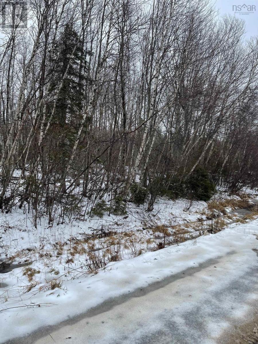 Lot 4 Marsh Road, Coalburn, Nova Scotia  B0K 1W0 - Photo 2 - 202409392