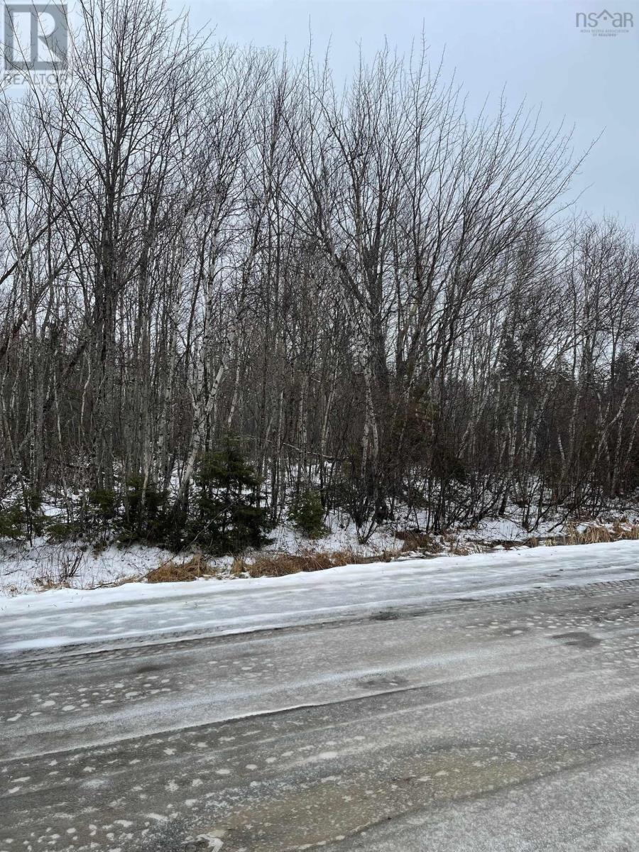 Lot 4 Marsh Road, Coalburn, Nova Scotia  B0K 1W0 - Photo 3 - 202409392