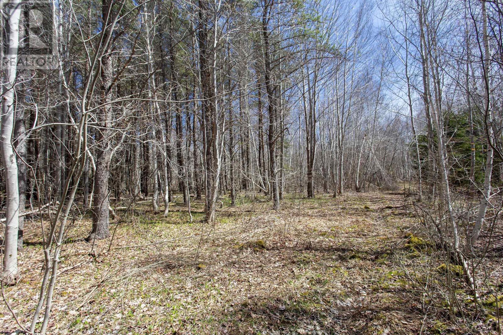 Lot Highway 201, Centrelea, Nova Scotia  B0S 1C0 - Photo 20 - 202409421