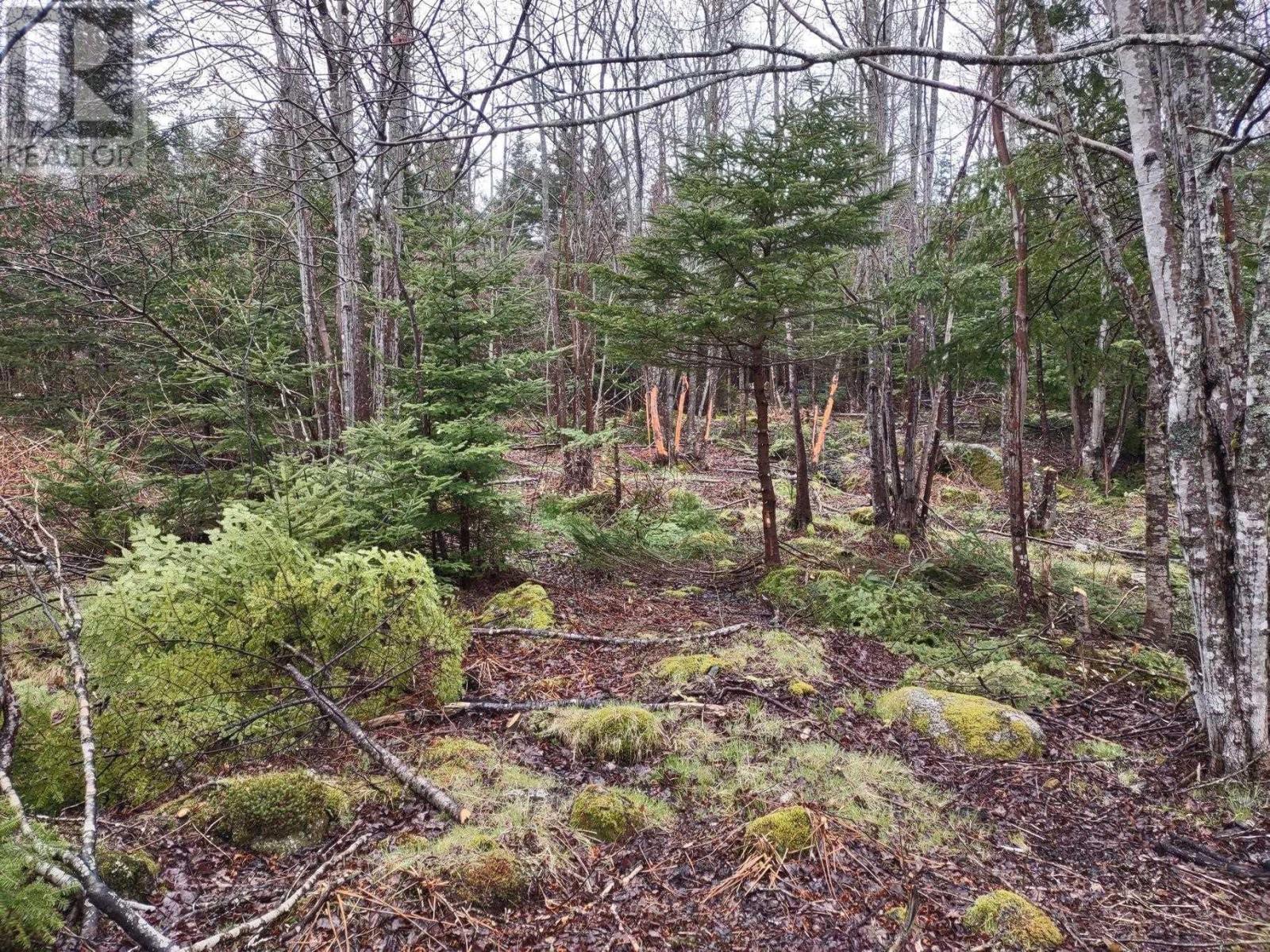 1218 St Margarets Bay Road, Beechville, Nova Scotia  B3N 1J8 - Photo 15 - 202409440