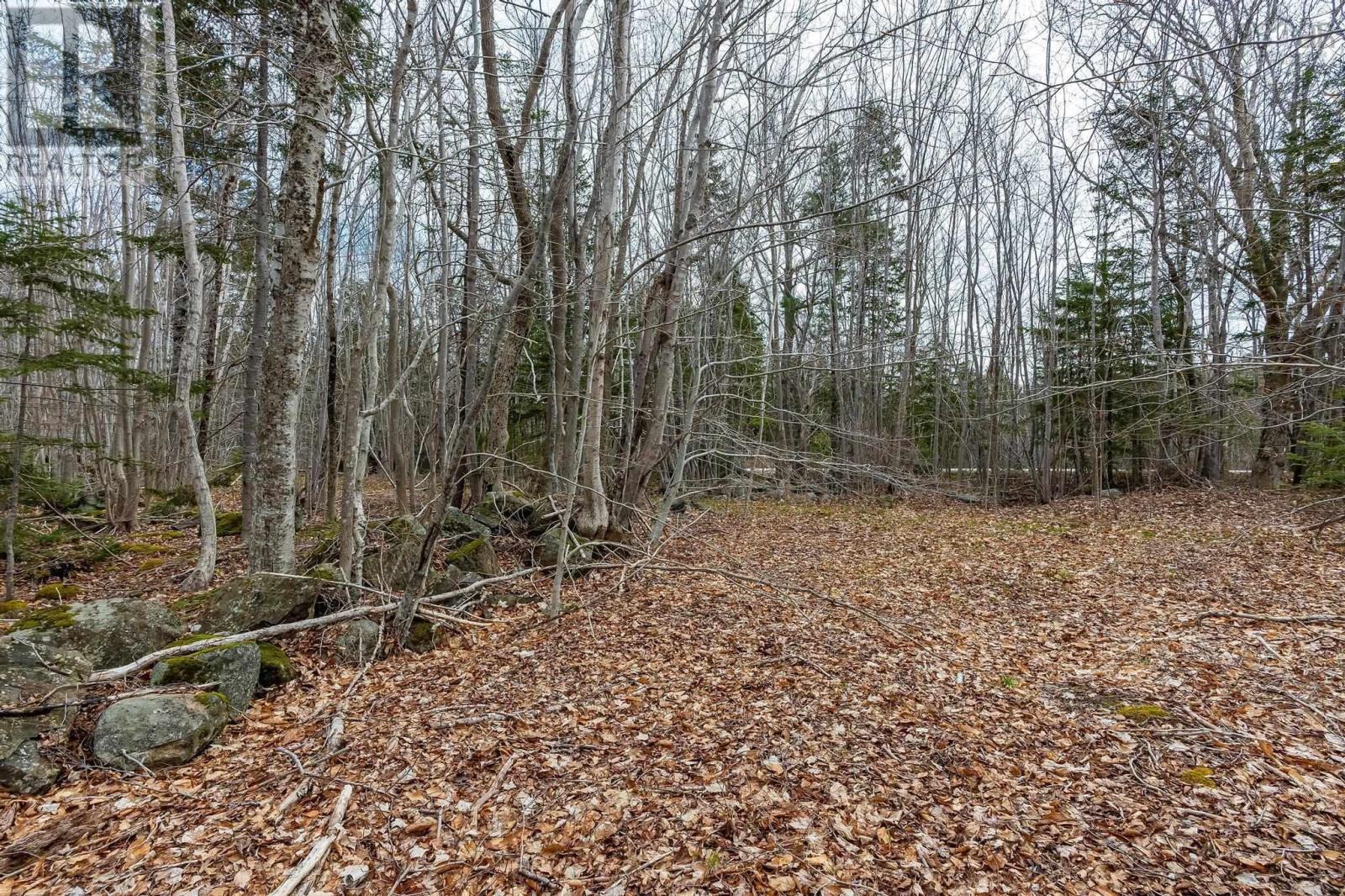 Lot Highway 8, Graywood, Nova Scotia  B0S 1A0 - Photo 10 - 202409479