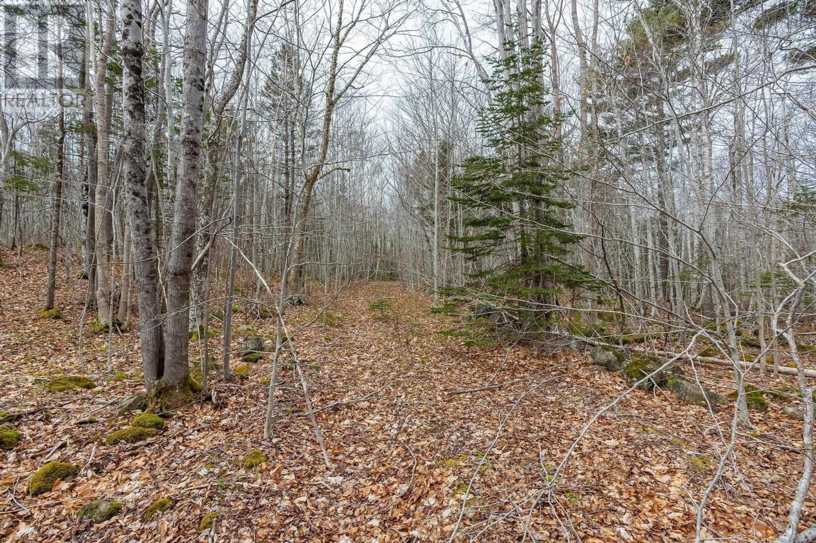 Lot Highway 8, Graywood, Nova Scotia  B0S 1A0 - Photo 9 - 202409479