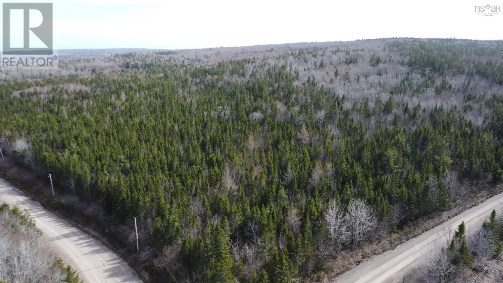 Glendale Road, Sugar Camp, Nova Scotia  B9A 1S6 - Photo 3 - 202409547