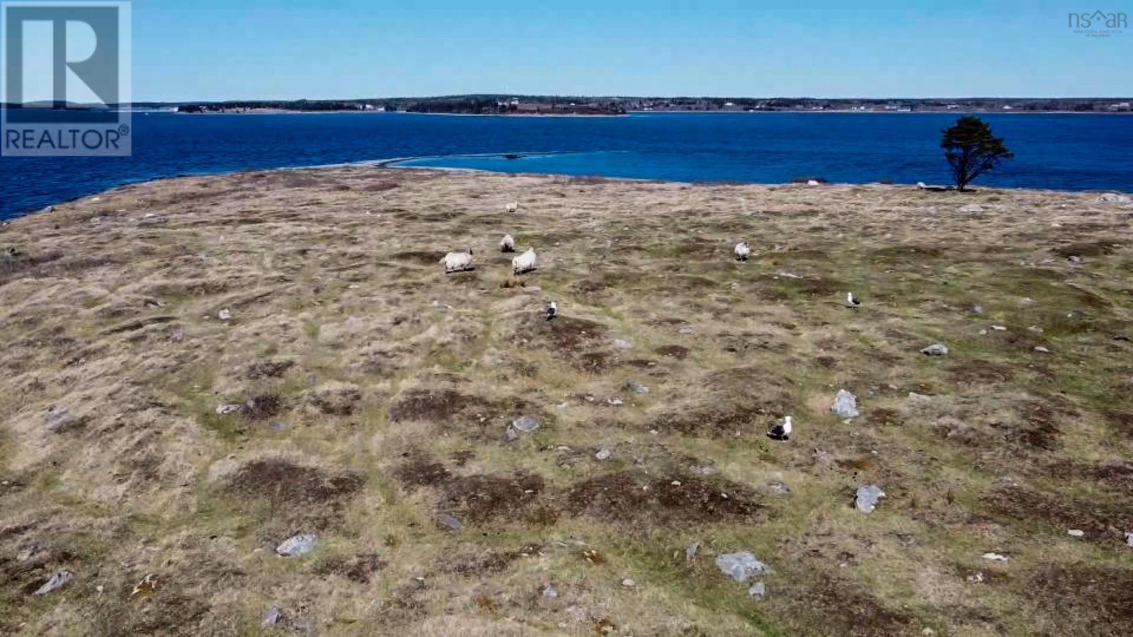 Big Goose Berry Island, Argyle, Nova Scotia  B0W 1W0 - Photo 11 - 202409614