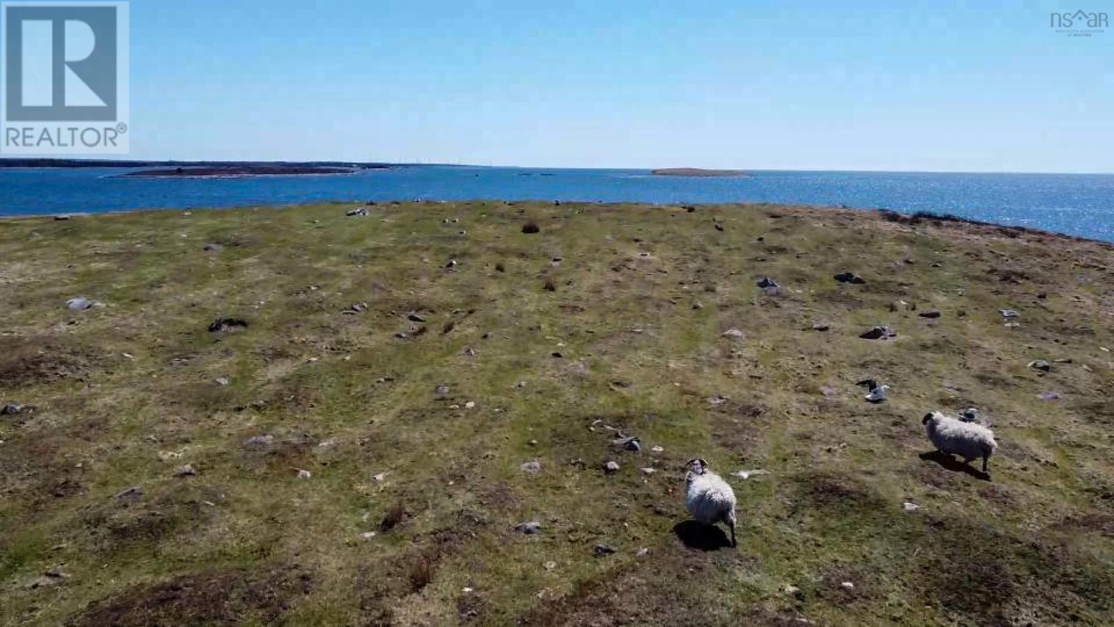 Big Goose Berry Island, Argyle, Nova Scotia  B0W 1W0 - Photo 12 - 202409614