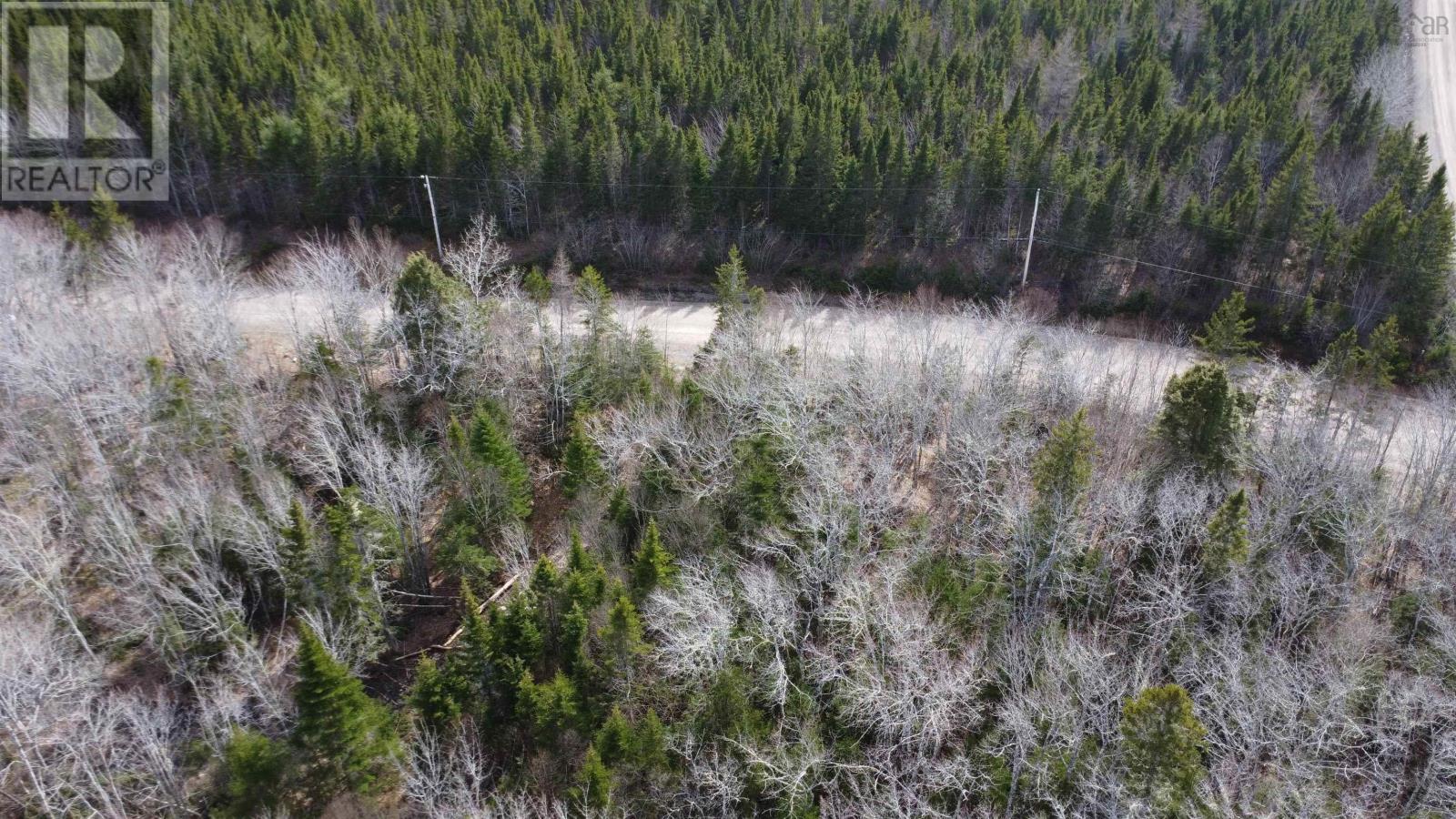 Glendale Road, Sugar Camp, Nova Scotia  B9A 1S6 - Photo 2 - 202409653