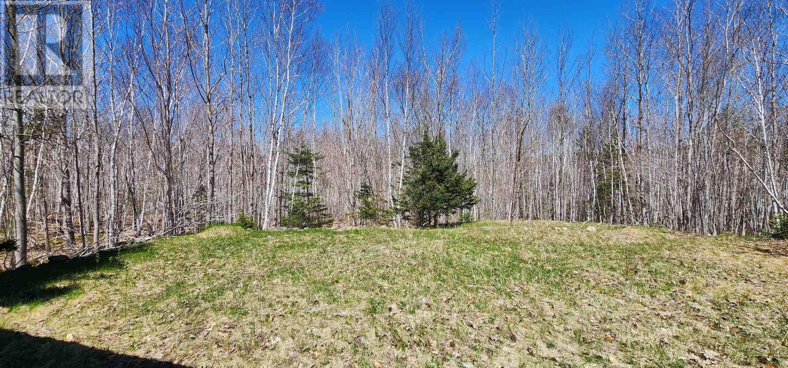 Lot 2 Grand Lake Road, Princedale, Nova Scotia  B0S 1A0 - Photo 13 - 202409686