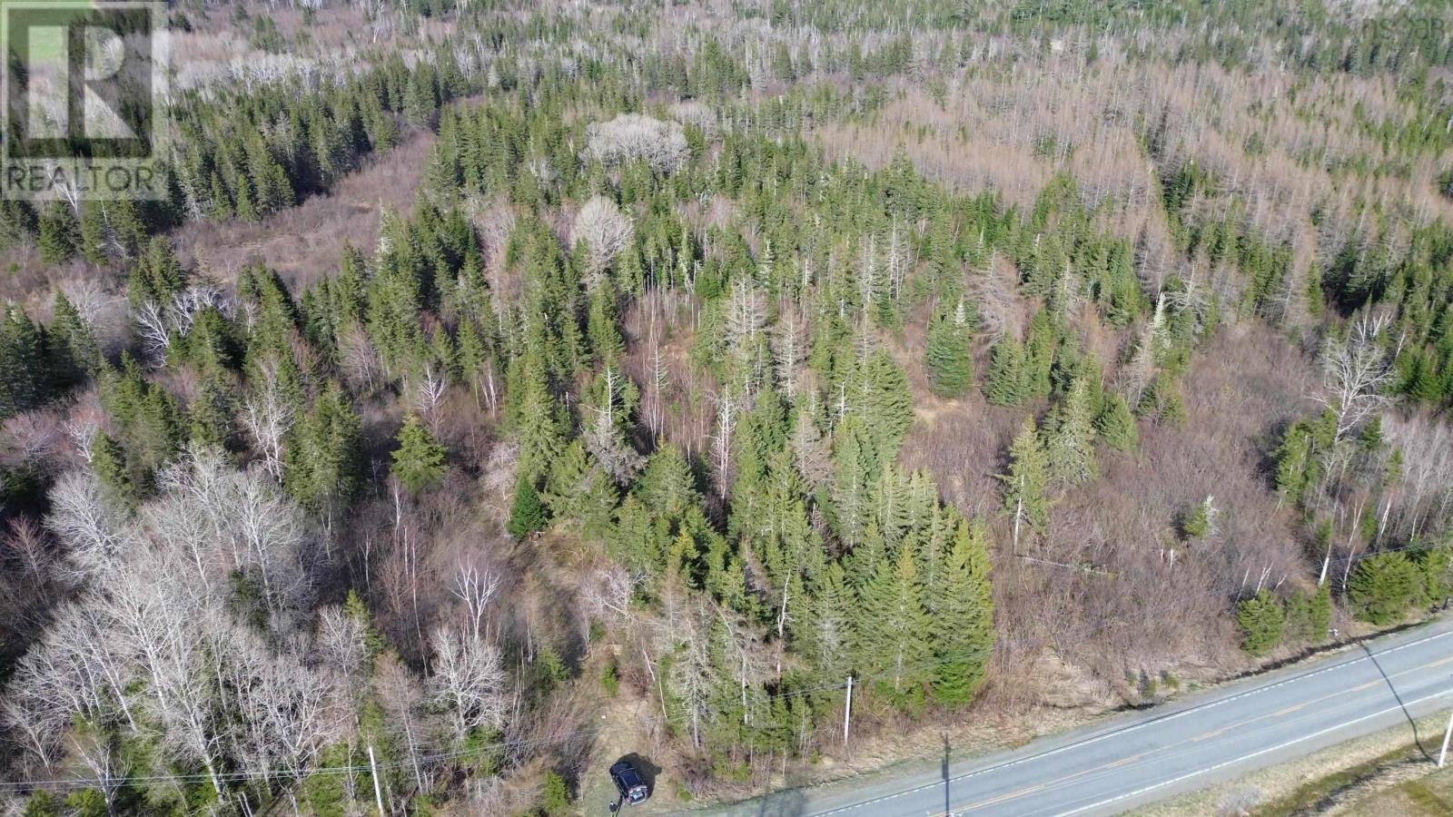 Acreage Highway 252, Stewartdale, Nova Scotia  B0E 3M0 - Photo 13 - 202409733