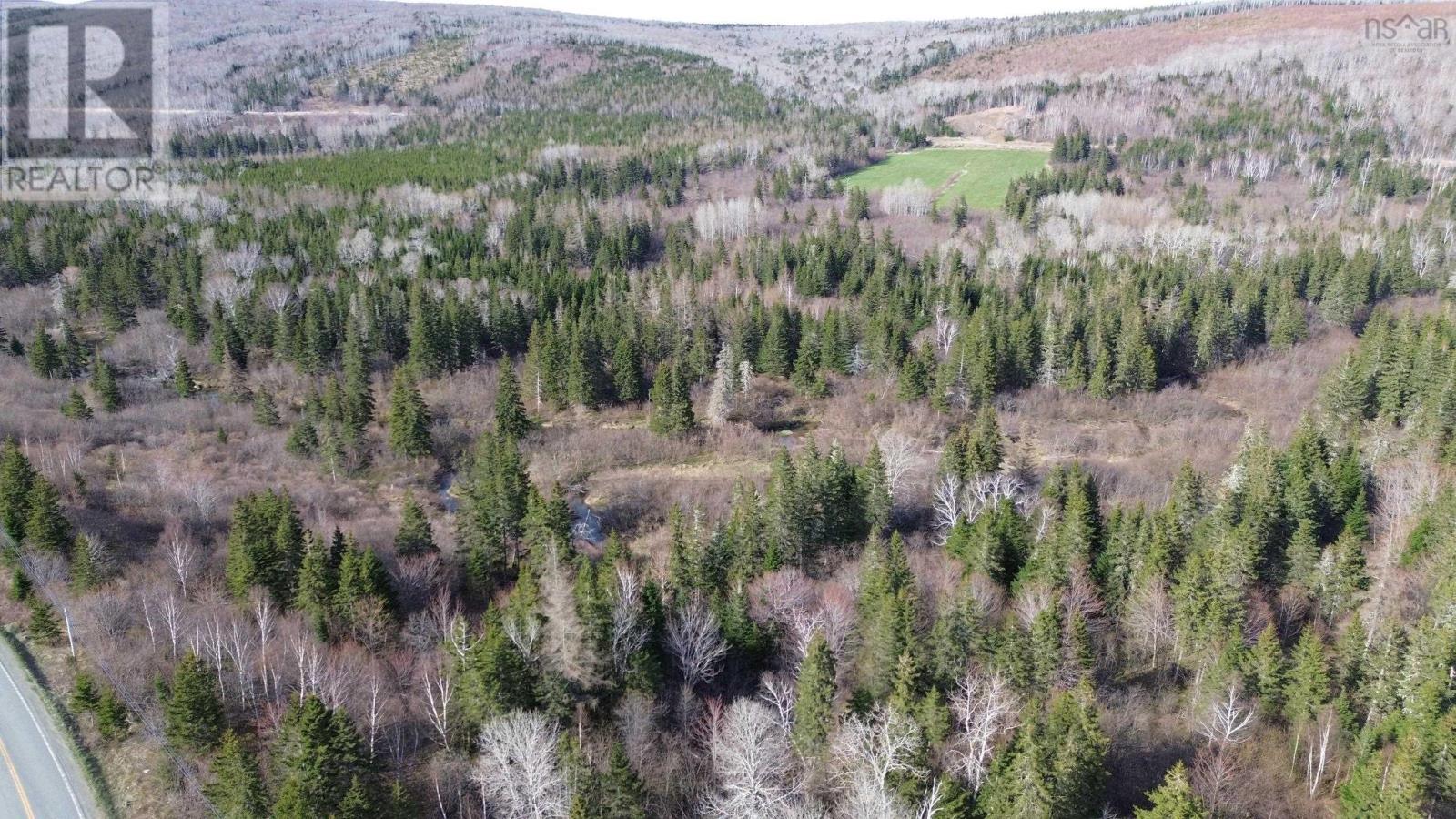 Acreage Highway 252, Stewartdale, Nova Scotia  B0E 3M0 - Photo 14 - 202409733