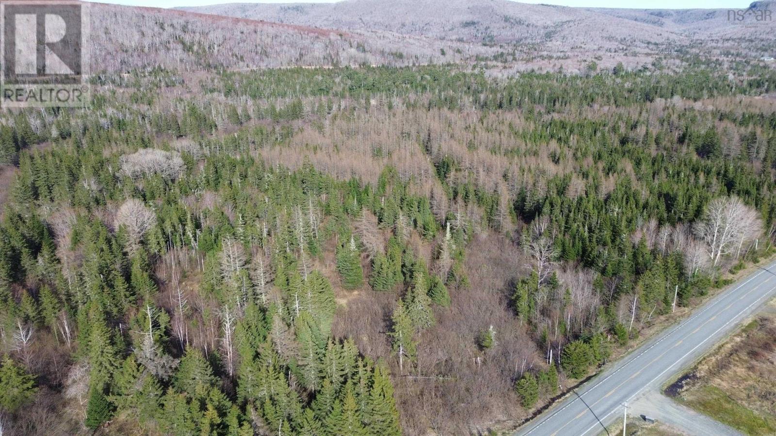 Acreage Highway 252, Stewartdale, Nova Scotia  B0E 3M0 - Photo 15 - 202409733