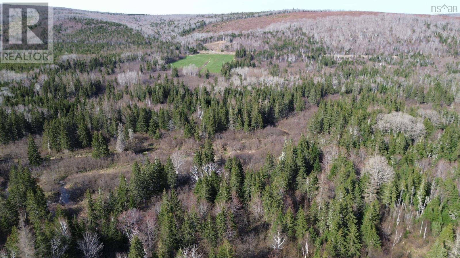 Acreage Highway 252, Stewartdale, Nova Scotia  B0E 3M0 - Photo 17 - 202409733