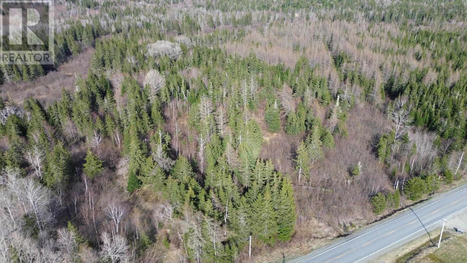 Acreage Highway 252, Stewartdale, Nova Scotia  B0E 3M0 - Photo 2 - 202409733