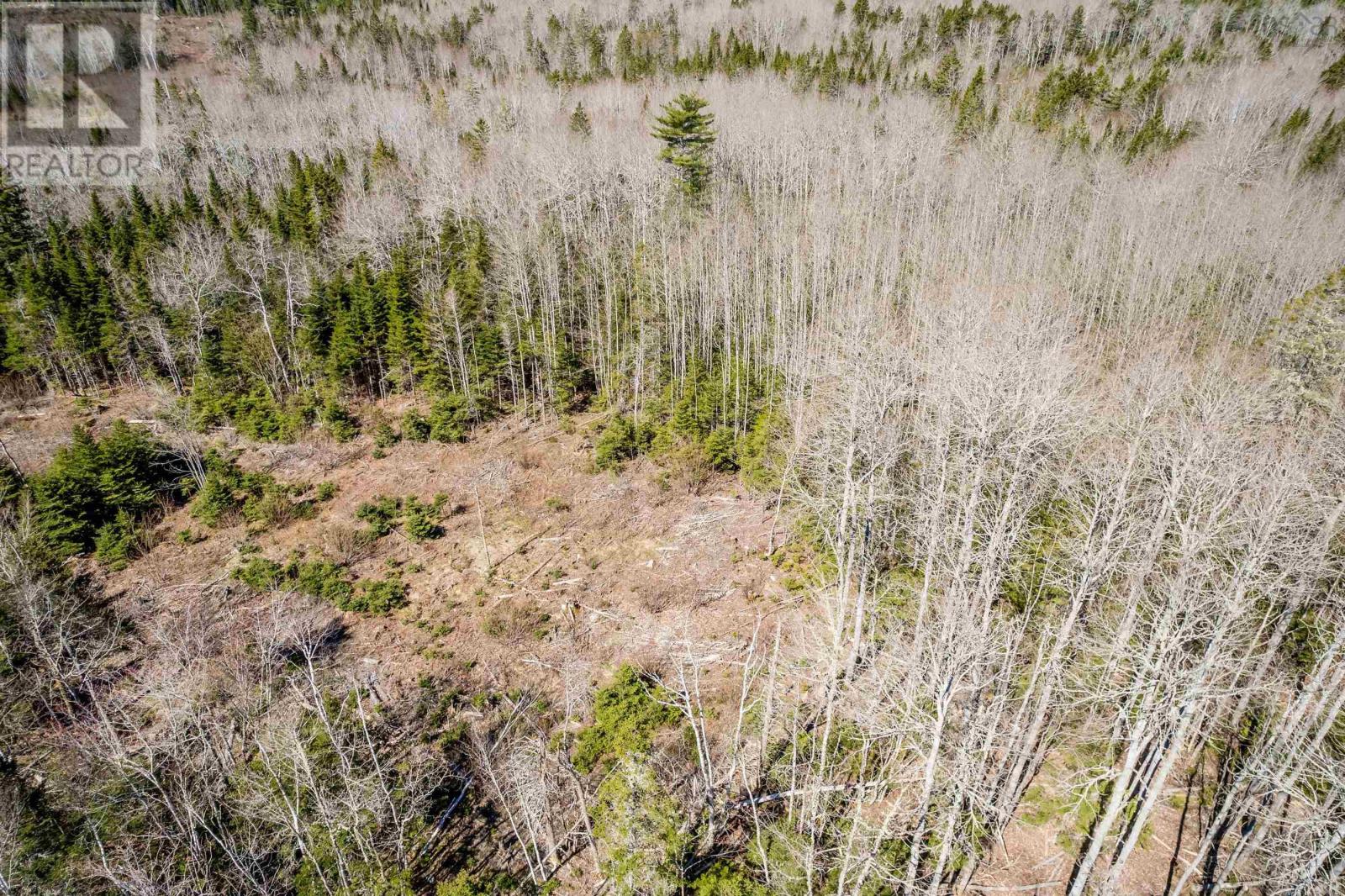 Lot A Aylesford Road, Lake Paul, Nova Scotia  B0P 1C0 - Photo 13 - 202409815