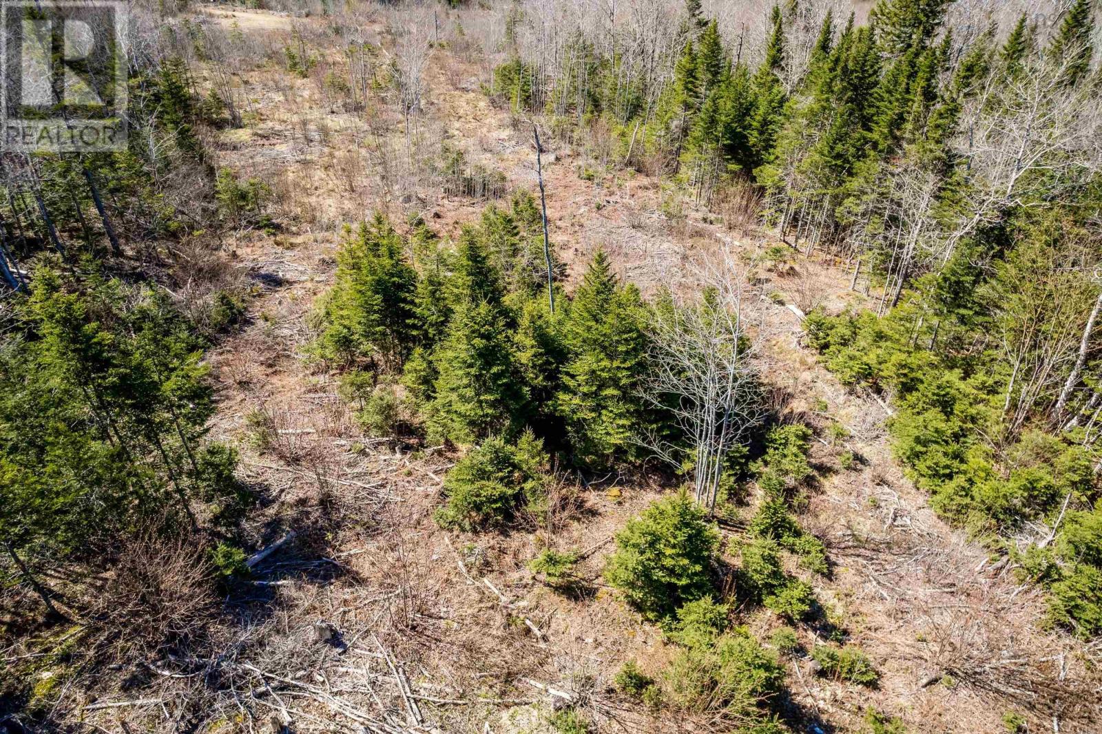 Lot A Aylesford Road, Lake Paul, Nova Scotia  B0P 1C0 - Photo 15 - 202409815