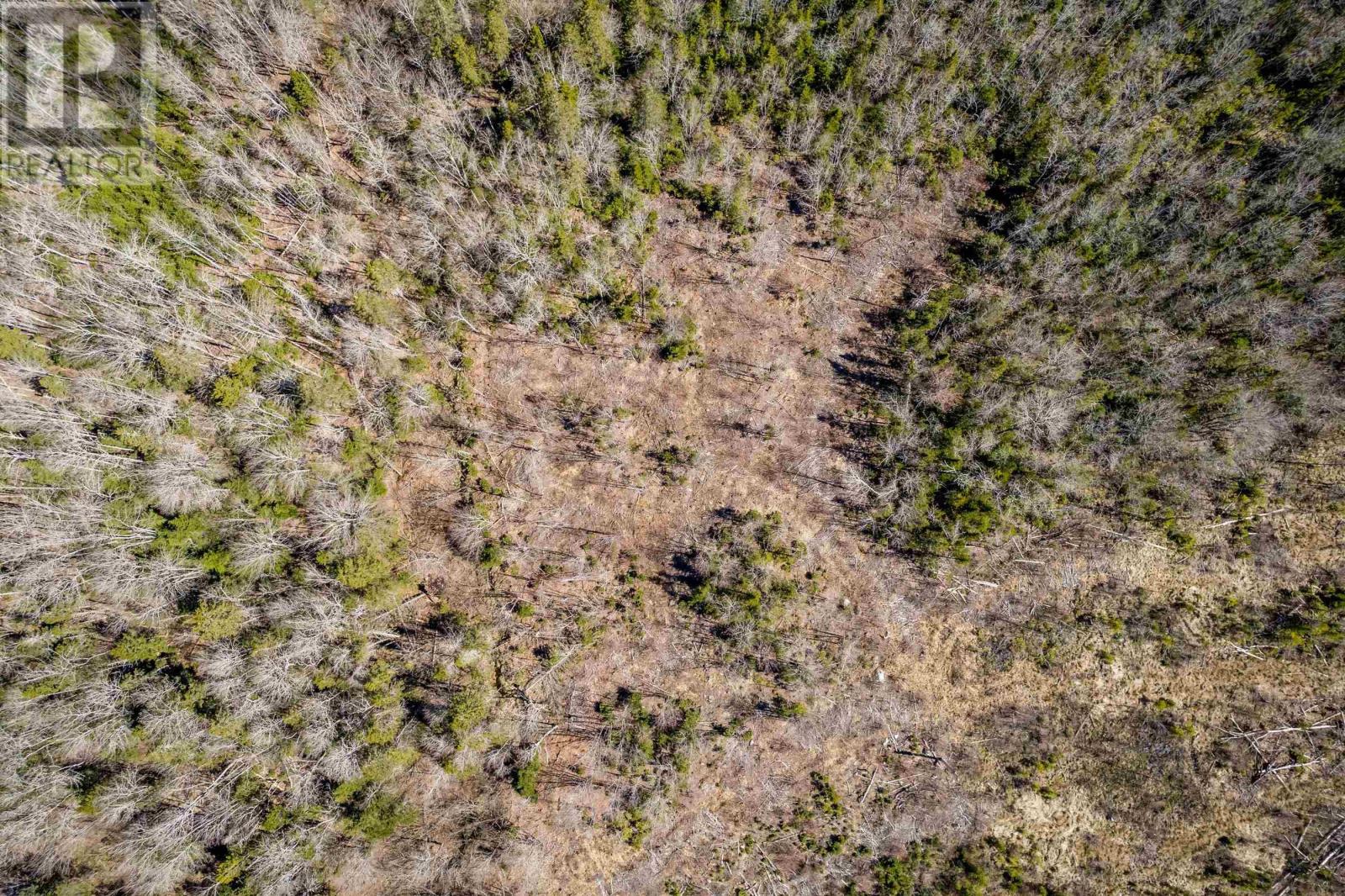 Lot A Aylesford Road, Lake Paul, Nova Scotia  B0P 1C0 - Photo 6 - 202409815