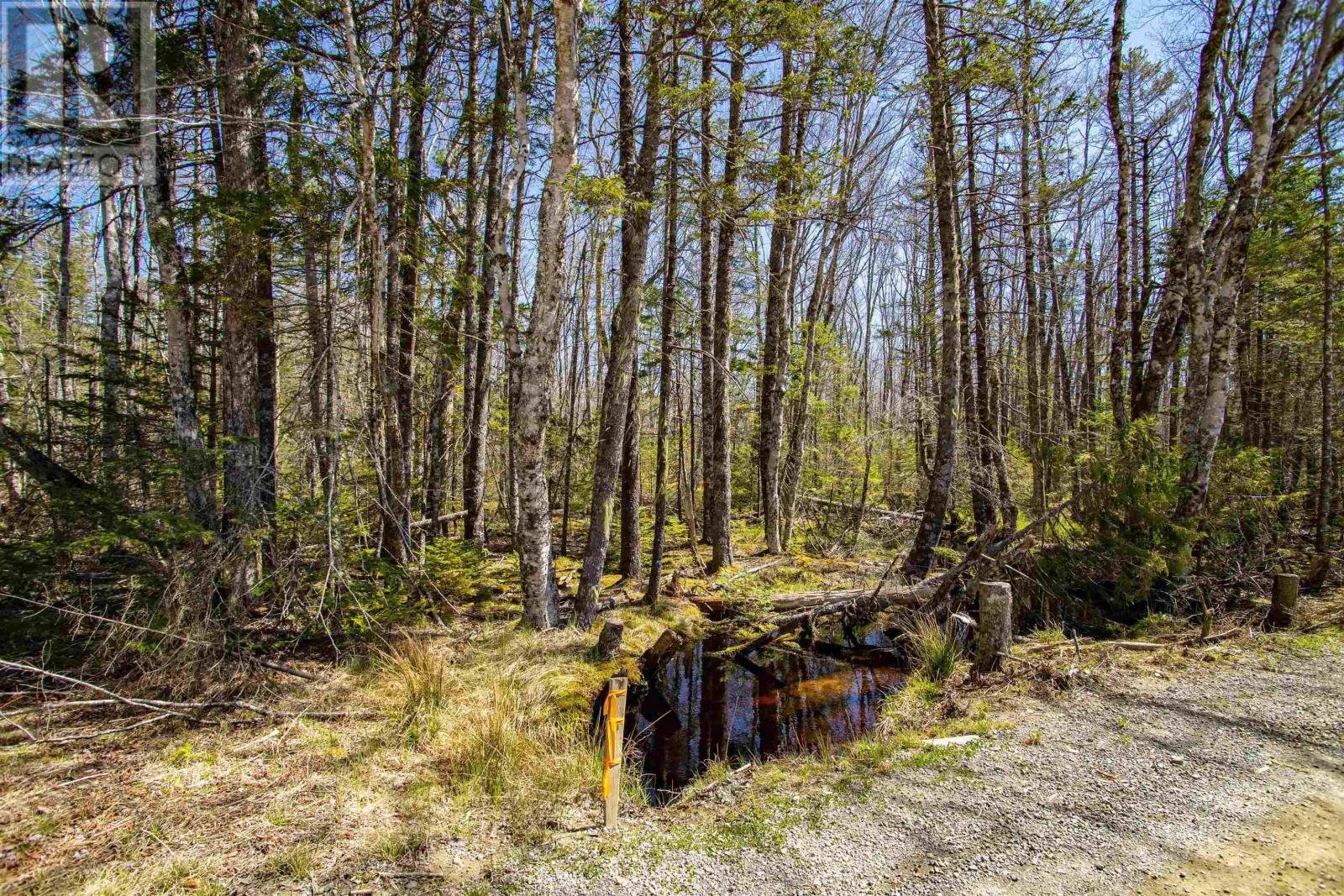 Lot 50n Secret Road, Briar Lake, Nova Scotia  B0W 2Y0 - Photo 6 - 202410008