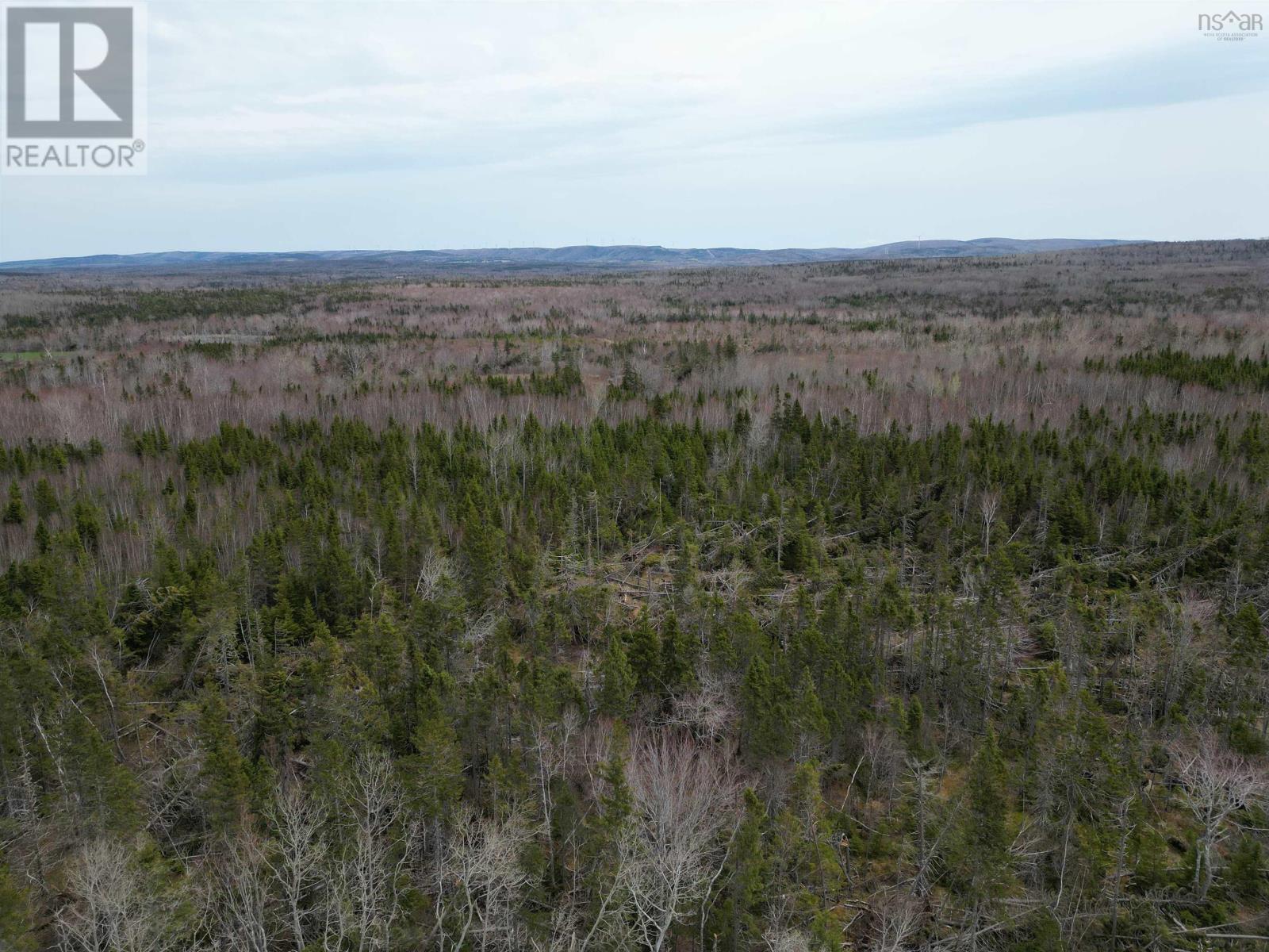 Lot Shore Road, Lower Barneys River, Nova Scotia  B0K 1G0 - Photo 4 - 202410025