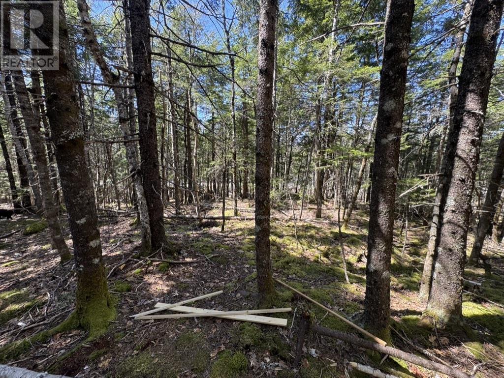 Lot 66 Summit Ridge Road, Windsor, Nova Scotia  B0N 2T0 - Photo 30 - 202410042