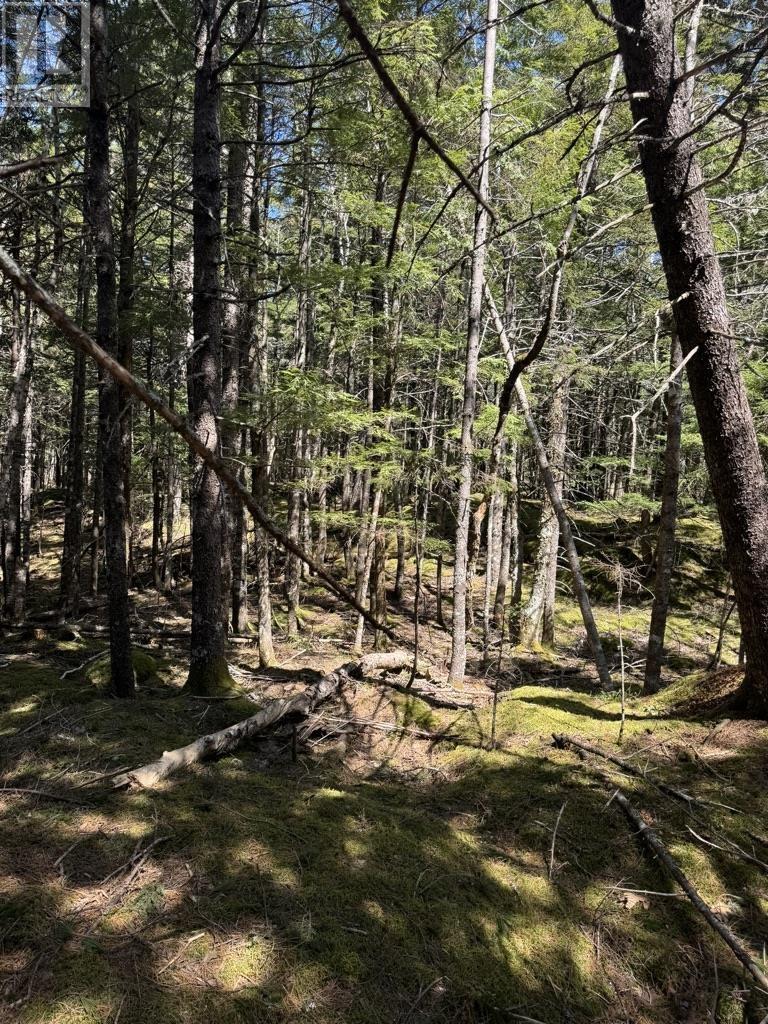 Lot 66 Summit Ridge Road, Windsor, Nova Scotia  B0N 2T0 - Photo 33 - 202410042