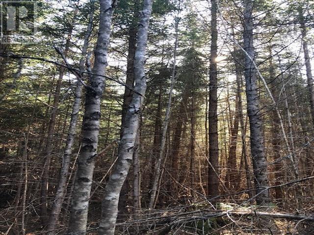 Sherbrooke Road, moose river, Nova Scotia