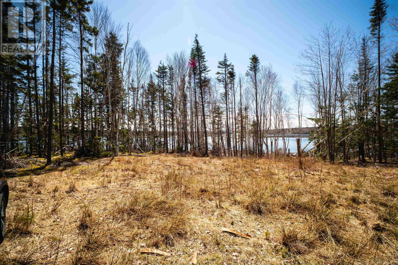 Lot 1e Marble Mountain Road, Malagawatch, Nova Scotia  B0E 2Y0 - Photo 10 - 202410087