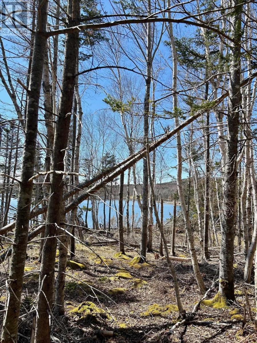 Lot 1e Marble Mountain Road, Malagawatch, Nova Scotia  B0E 2Y0 - Photo 11 - 202410087