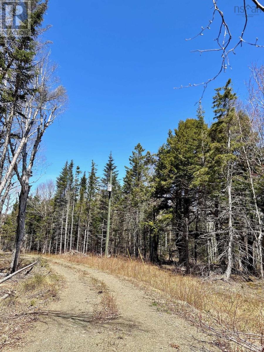 Lot 1e Marble Mountain Road, Malagawatch, Nova Scotia  B0E 2Y0 - Photo 12 - 202410087