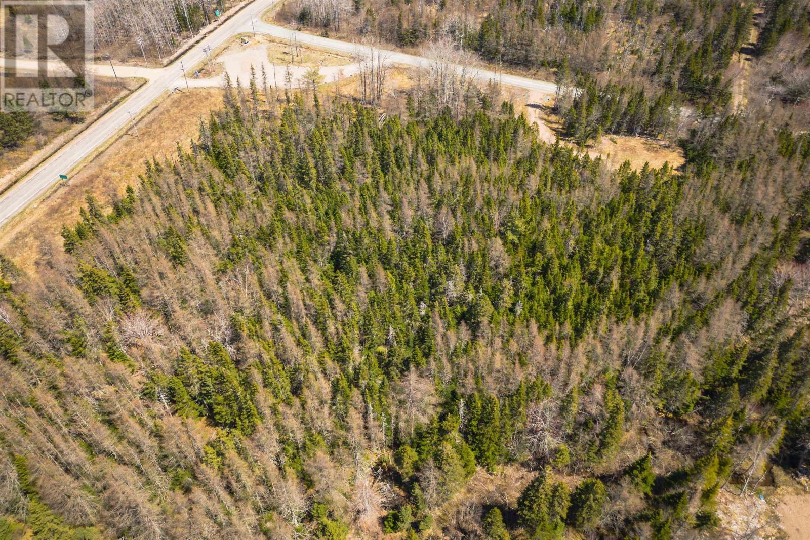 Lot 6 4 Highway, Cleveland, Nova Scotia  B0E 1J0 - Photo 3 - 202410090