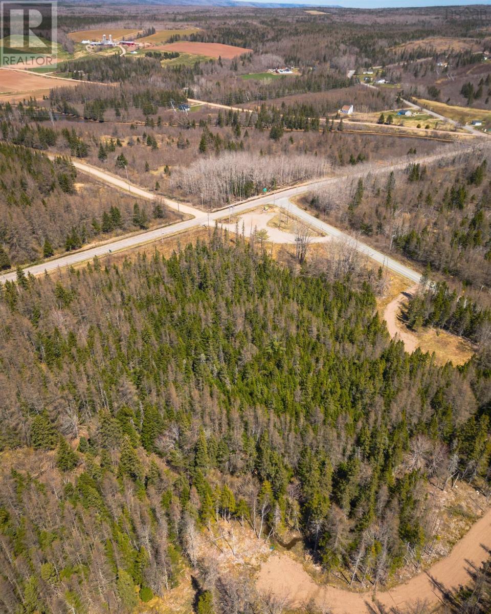 Lot 6 4 Highway, Cleveland, Nova Scotia  B0E 1J0 - Photo 6 - 202410090