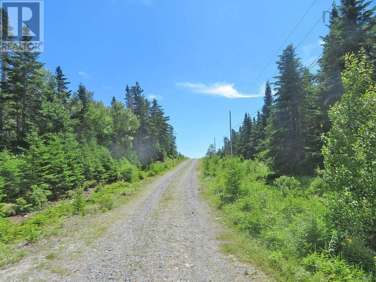 Lot 7 Oceanview Road, French Road, Nova Scotia  B1K 2A1 - Photo 10 - 202410162