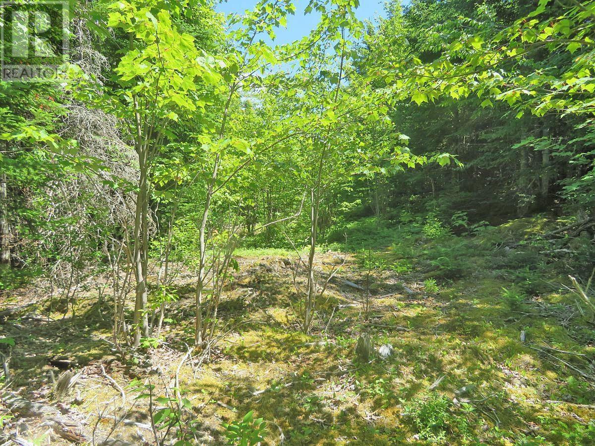 Lot 7 Oceanview Road, French Road, Nova Scotia  B1K 2A1 - Photo 12 - 202410162