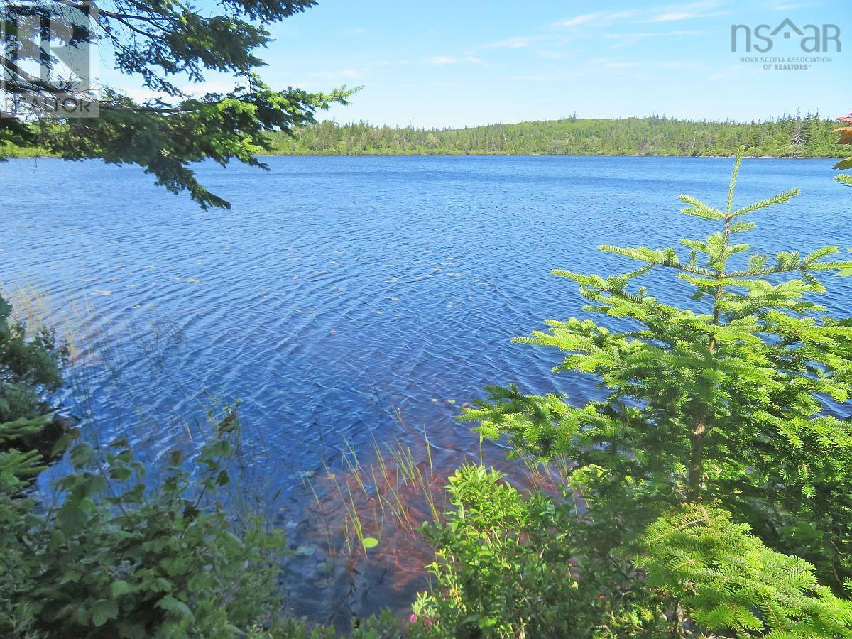 Lot 7 Oceanview Road, French Road, Nova Scotia  B1K 2A1 - Photo 2 - 202410162