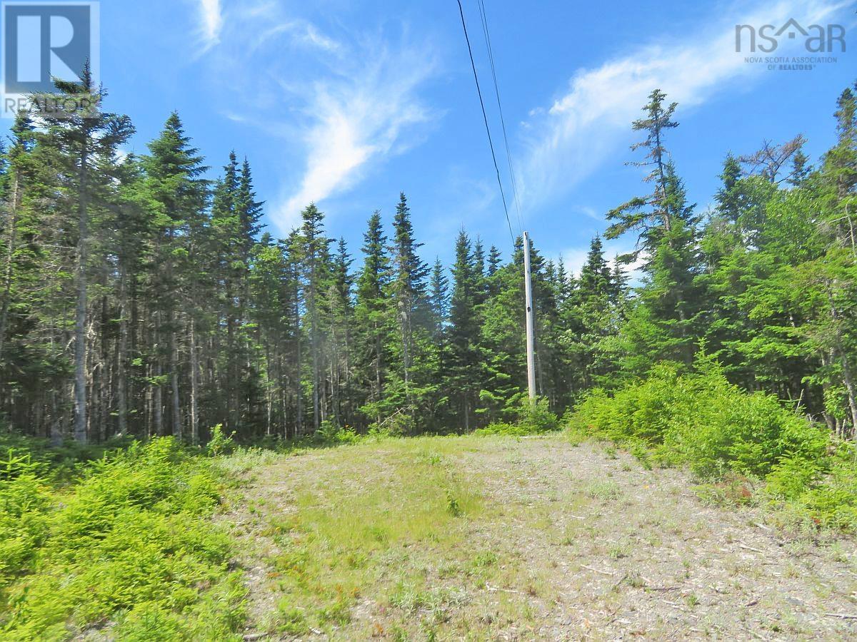 Lot 7 Oceanview Road, French Road, Nova Scotia  B1K 2A1 - Photo 9 - 202410162