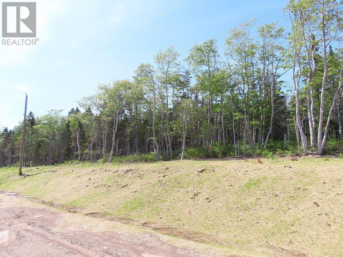 Lot 20 Perry Lane, Lennox Passage, Nova Scotia  B0E 1K0 - Photo 17 - 202410184