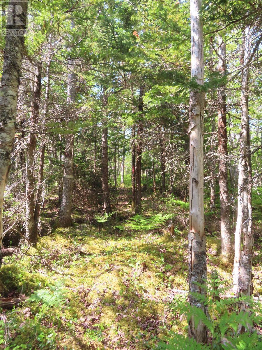 Lot 20 Perry Lane, Lennox Passage, Nova Scotia  B0E 1K0 - Photo 20 - 202410184