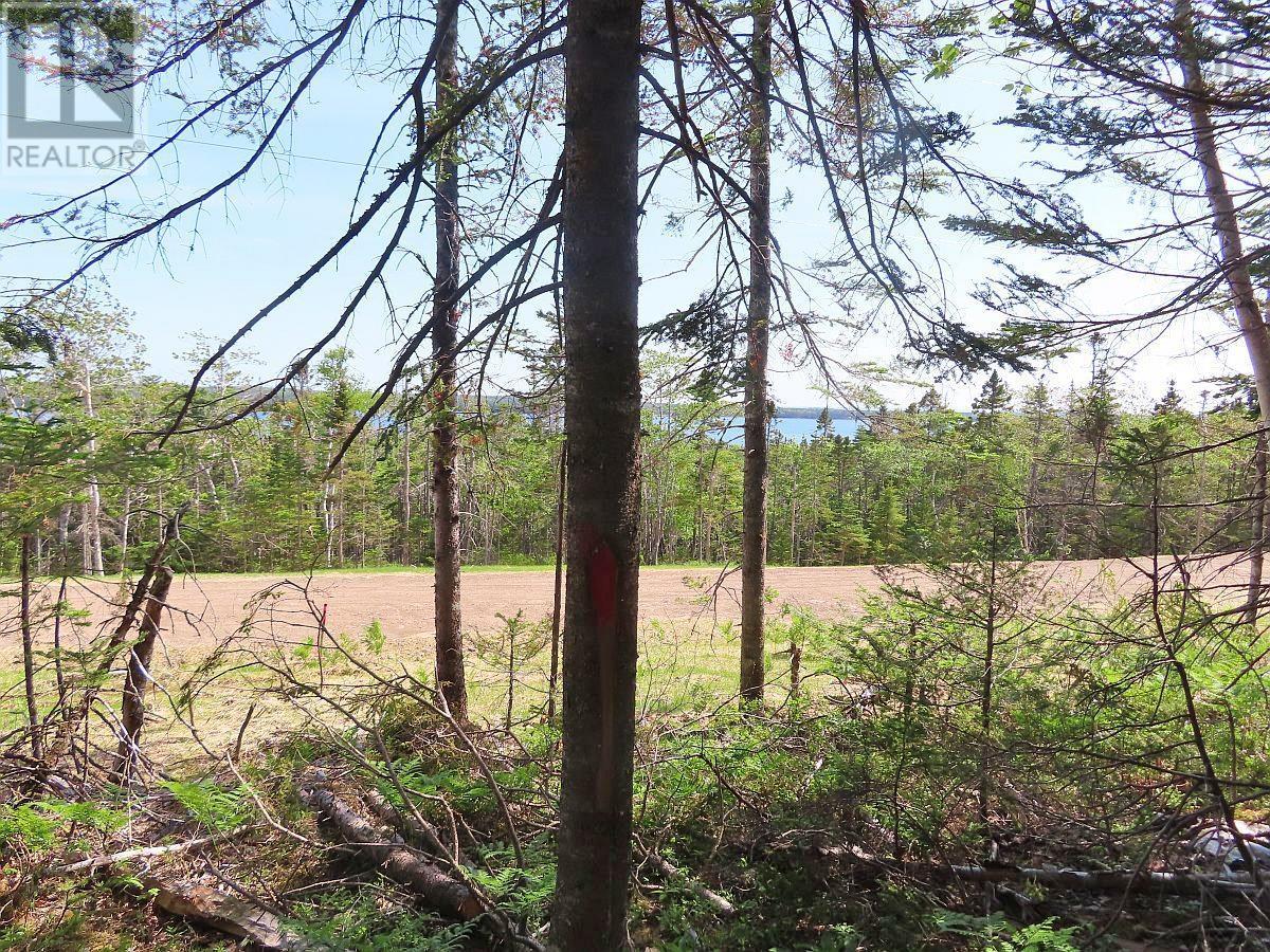 Lot 20 Perry Lane, Lennox Passage, Nova Scotia  B0E 1K0 - Photo 22 - 202410184