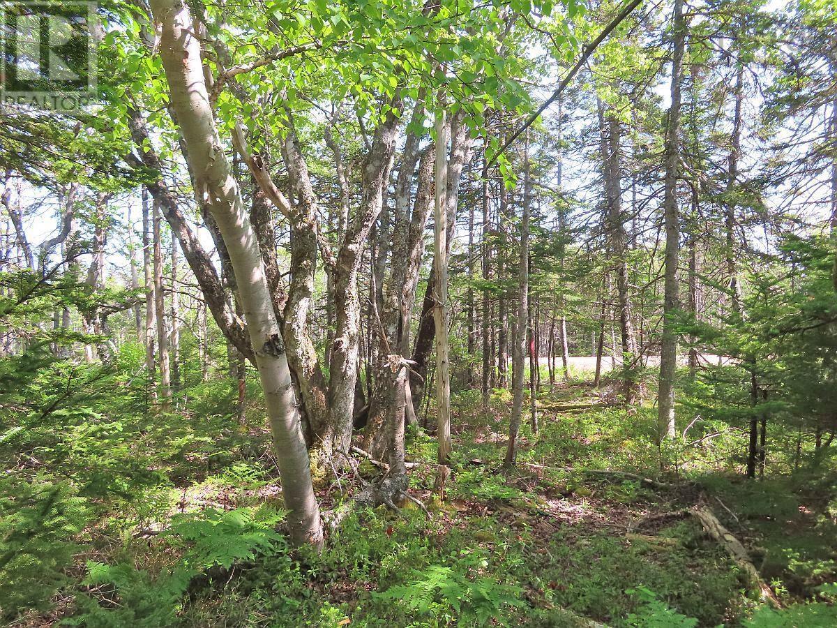 Lot 20 Perry Lane, Lennox Passage, Nova Scotia  B0E 1K0 - Photo 24 - 202410184