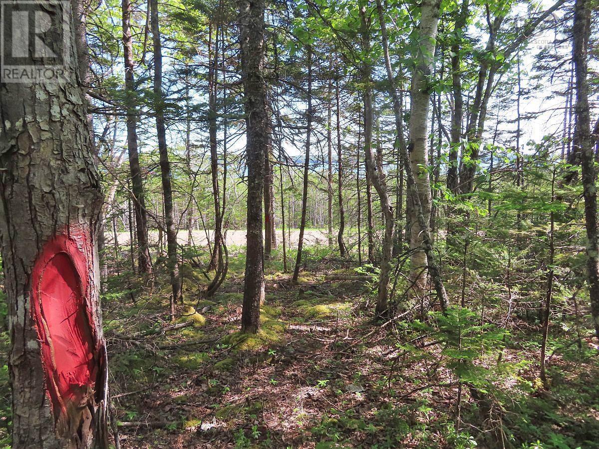 Lot 20 Perry Lane, Lennox Passage, Nova Scotia  B0E 1K0 - Photo 25 - 202410184