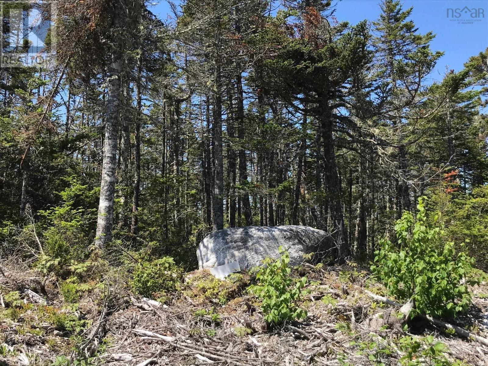 Soonul Lane, clam bay, Nova Scotia