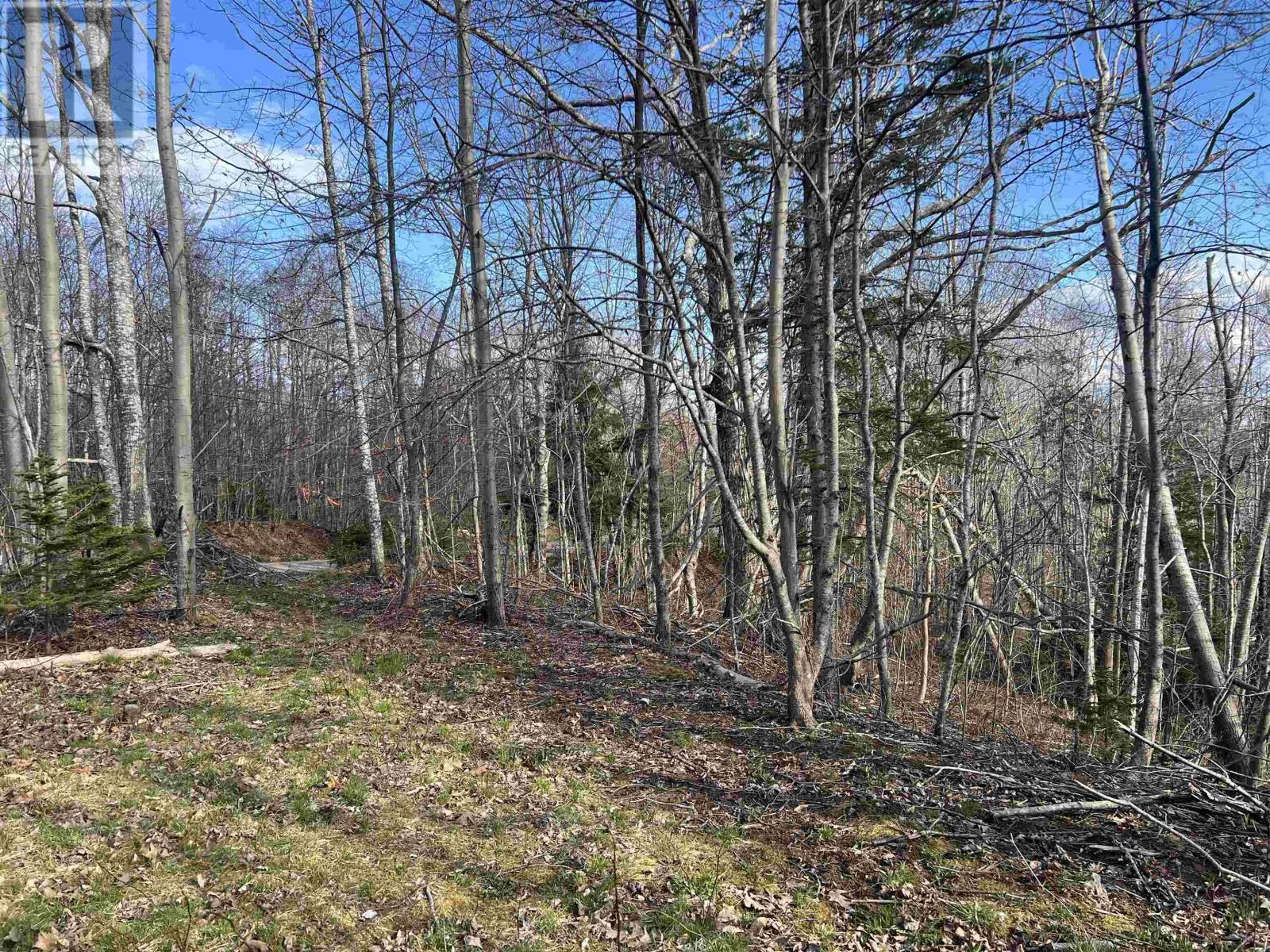 Lot 2-1-B Seaview Cemetary Road, Bay View, Nova Scotia  B0K 1H0 - Photo 2 - 202410239