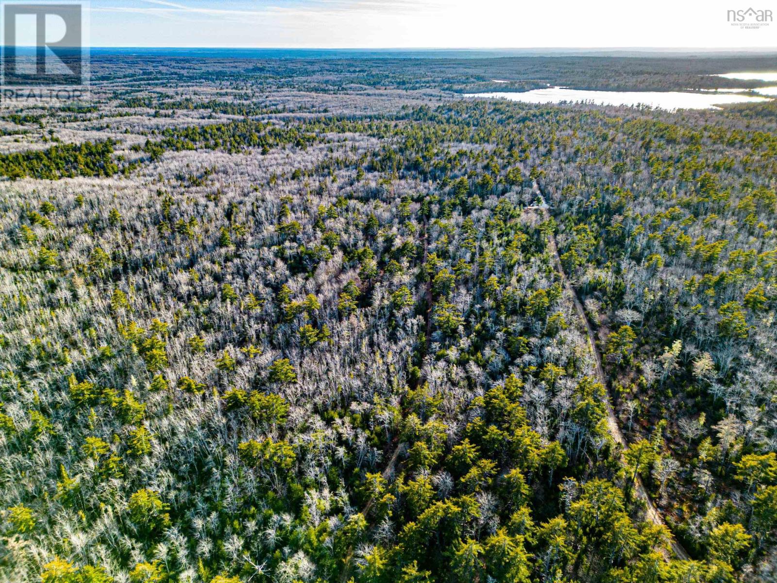 Lots Shore Road, Churchover, Nova Scotia  B0T 1W0 - Photo 6 - 202410322