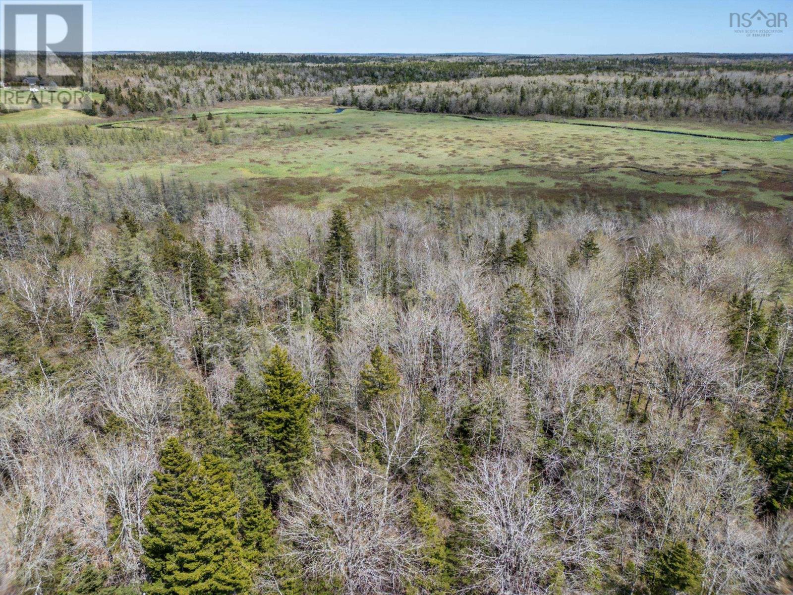 Lot Bloomfield Road, Pleasant Valley, Nova Scotia  B5A 5N5 - Photo 10 - 202410462