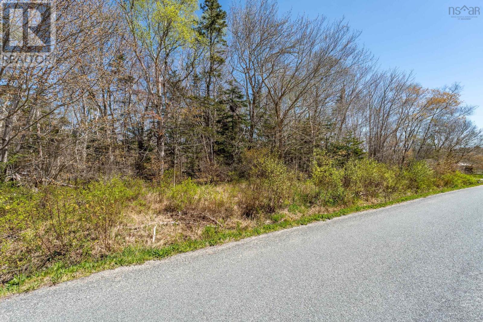 Lot Egypt Road, Pleasant Lake, Nova Scotia  B4A 5J9 - Photo 6 - 202410533