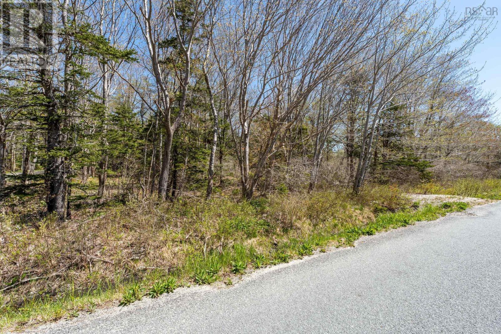 Lot Egypt Road, Pleasant Lake, Nova Scotia  B5A 5J9 - Photo 9 - 202410546