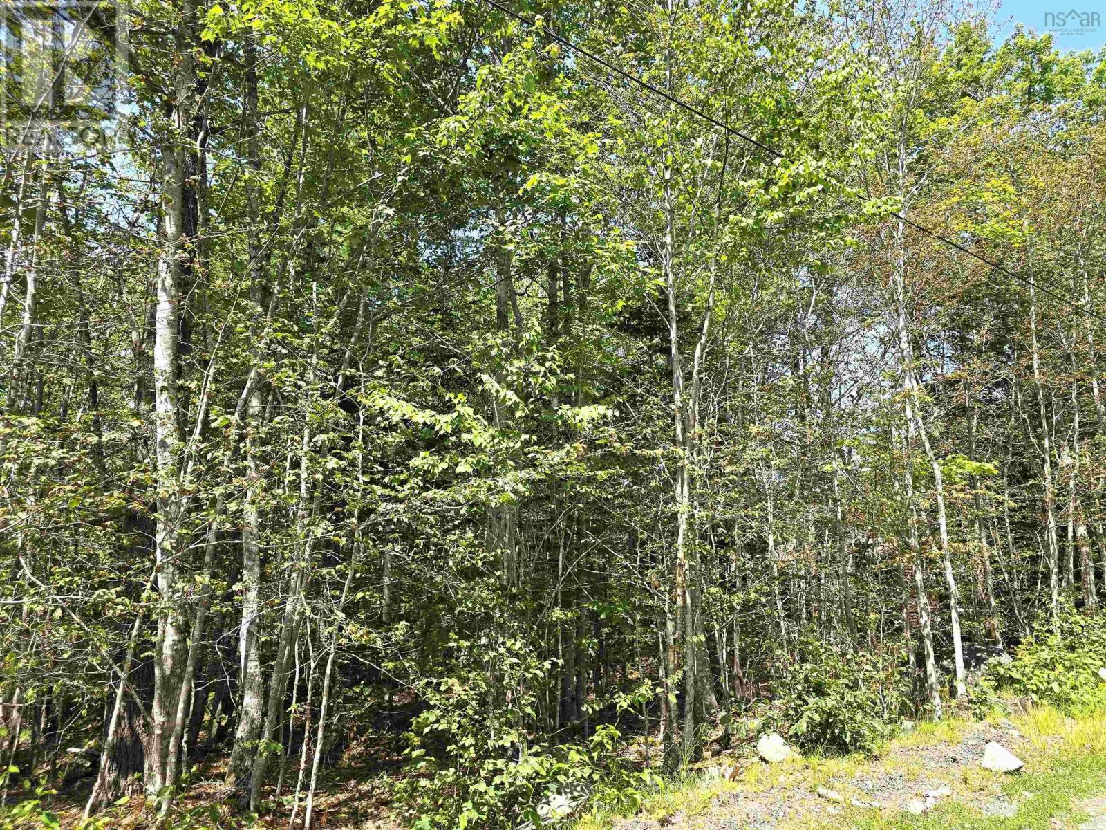 Lot 31 Ponhook Drive, Labelle, Nova Scotia  B0T 1E0 - Photo 14 - 202410551