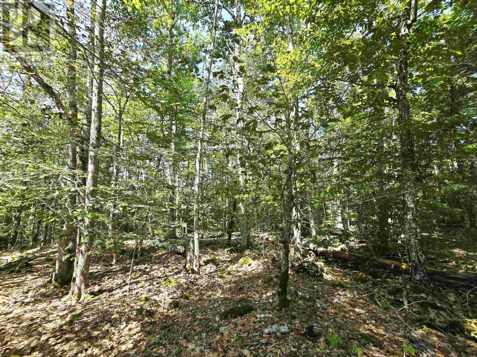 Lot 31 Ponhook Drive, Labelle, Nova Scotia  B0T 1E0 - Photo 18 - 202410551