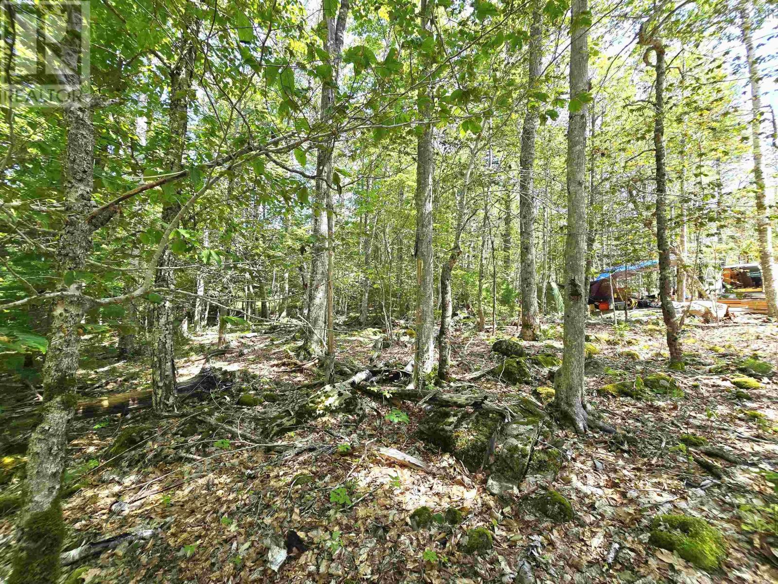 Lot 31 Ponhook Drive, Labelle, Nova Scotia  B0T 1E0 - Photo 21 - 202410551