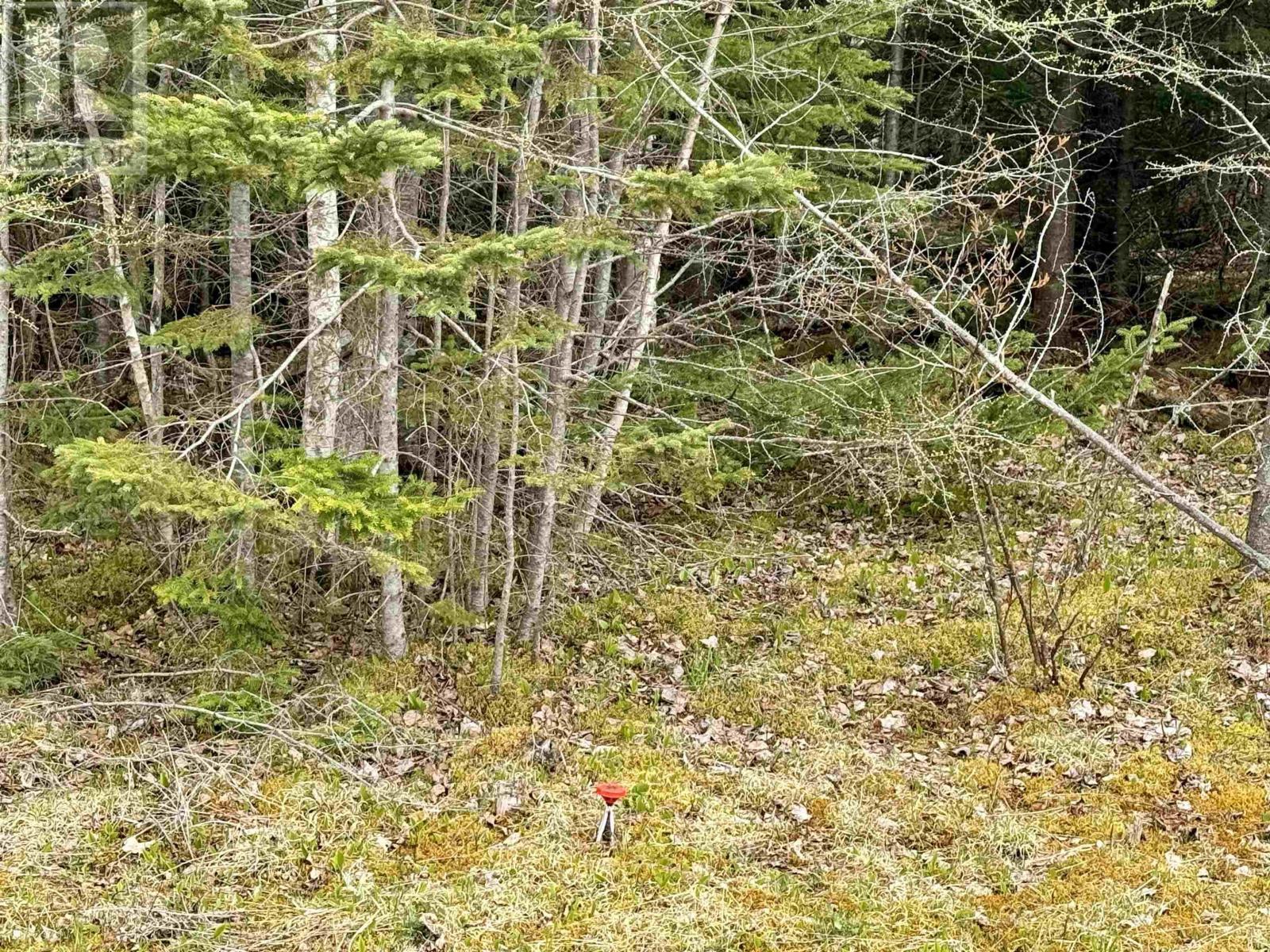 Lot(S) Joseph Macfarlane Drive, Whycocomagh Bay, Nova Scotia  B0E 2Y0 - Photo 5 - 202410557