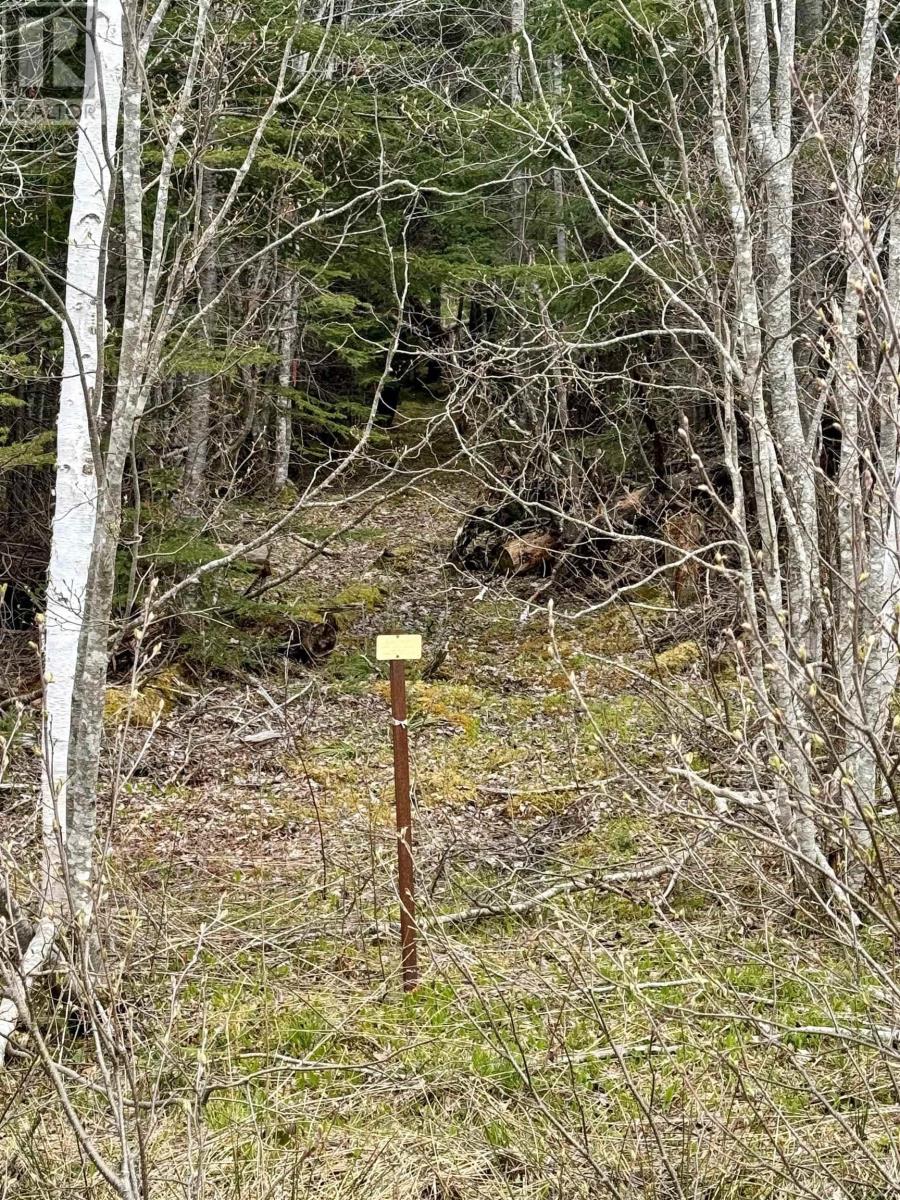 Lot(S) Joseph Macfarlane Drive, Whycocomagh Bay, Nova Scotia  B0E 2Y0 - Photo 7 - 202410557